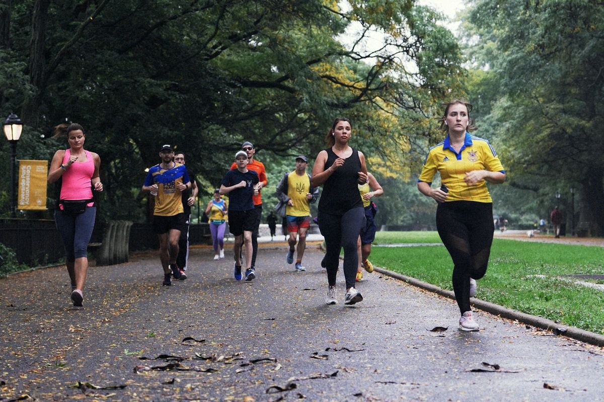 Runners on a tree-lined path in a green park (placeholder image)